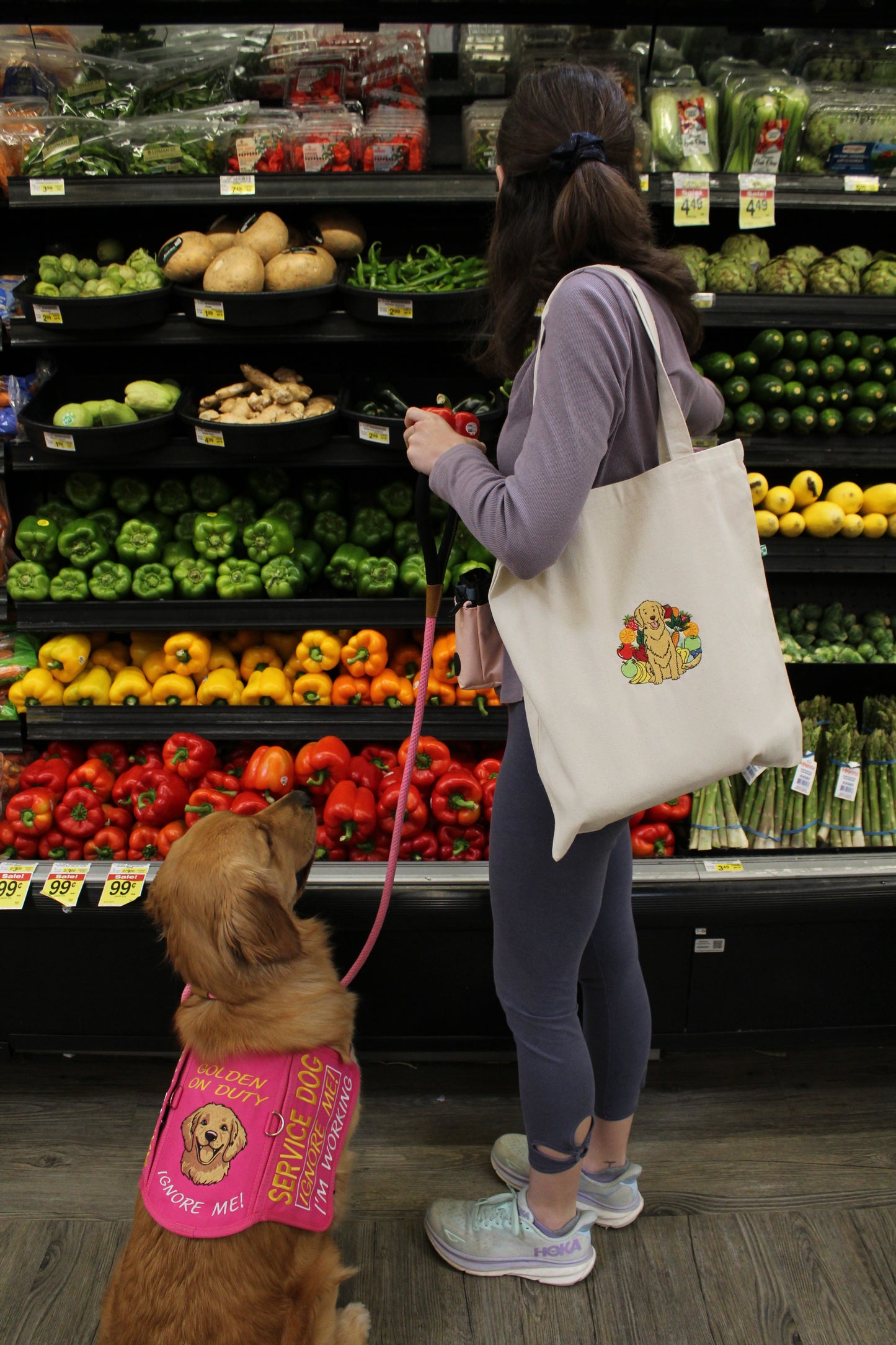 Embroidered Tote Bag - Remy In a "Fruit & Veggie" Rainbow - Food Allergy Awareness